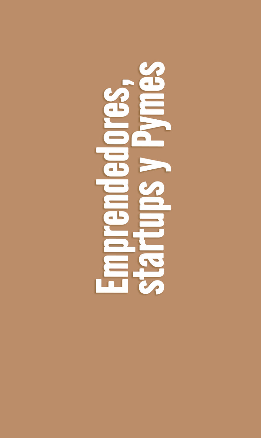 Emprendedores, Startups y Pymes EA
